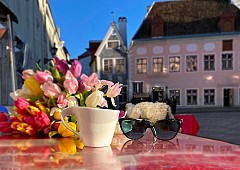 Весна в Німеччині: Відродження Кольорів та Традицій